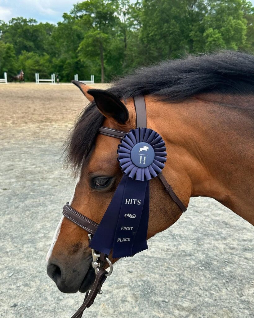 Milo the Horse